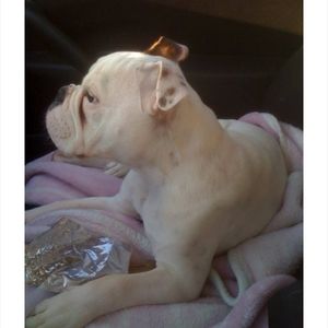 Meet your Posher, Anna